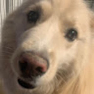 Meet your Posher, Randall